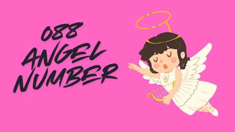 088 Angel Number Meaning, Relationships, Love, Career, Health, and Manifestation