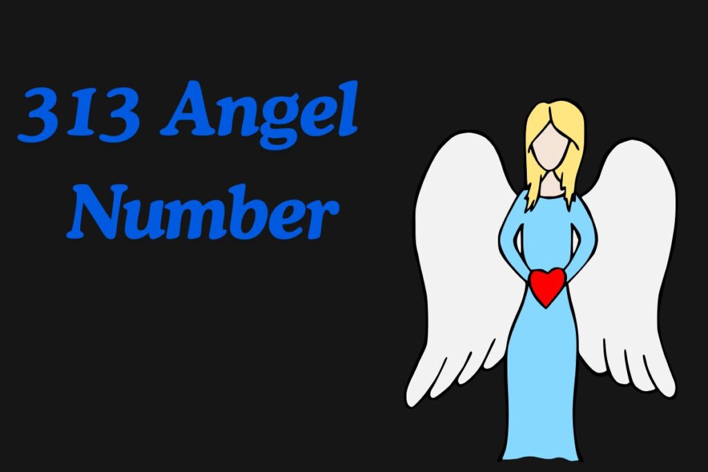 313 Angel Number