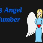 313 Angel Number