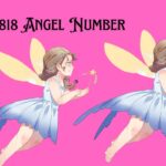818 Angel Number